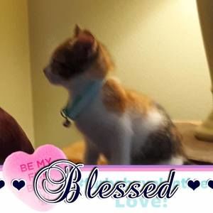 Meet your Posher, Lynn